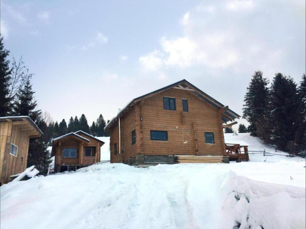 Pilipets Котедж Gasthof Dresden מראה חיצוני תמונה